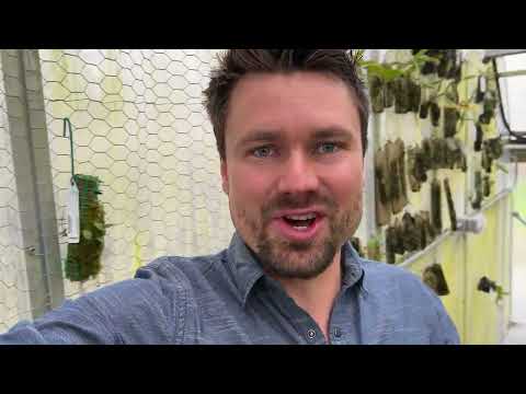 2022 Floraecollaborative Greenhouse Tour Part 2 Intermediate Side!