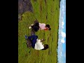Megham Karkatha Clip