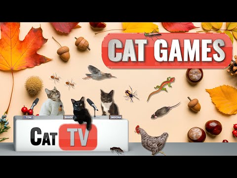 CAT GAMES | 🍁 Cozy Fall Critter Hunt – Ultimate Cat TV Compilation | 8 HOURS 🍂🦎🦋🐞🐜🐦🧵