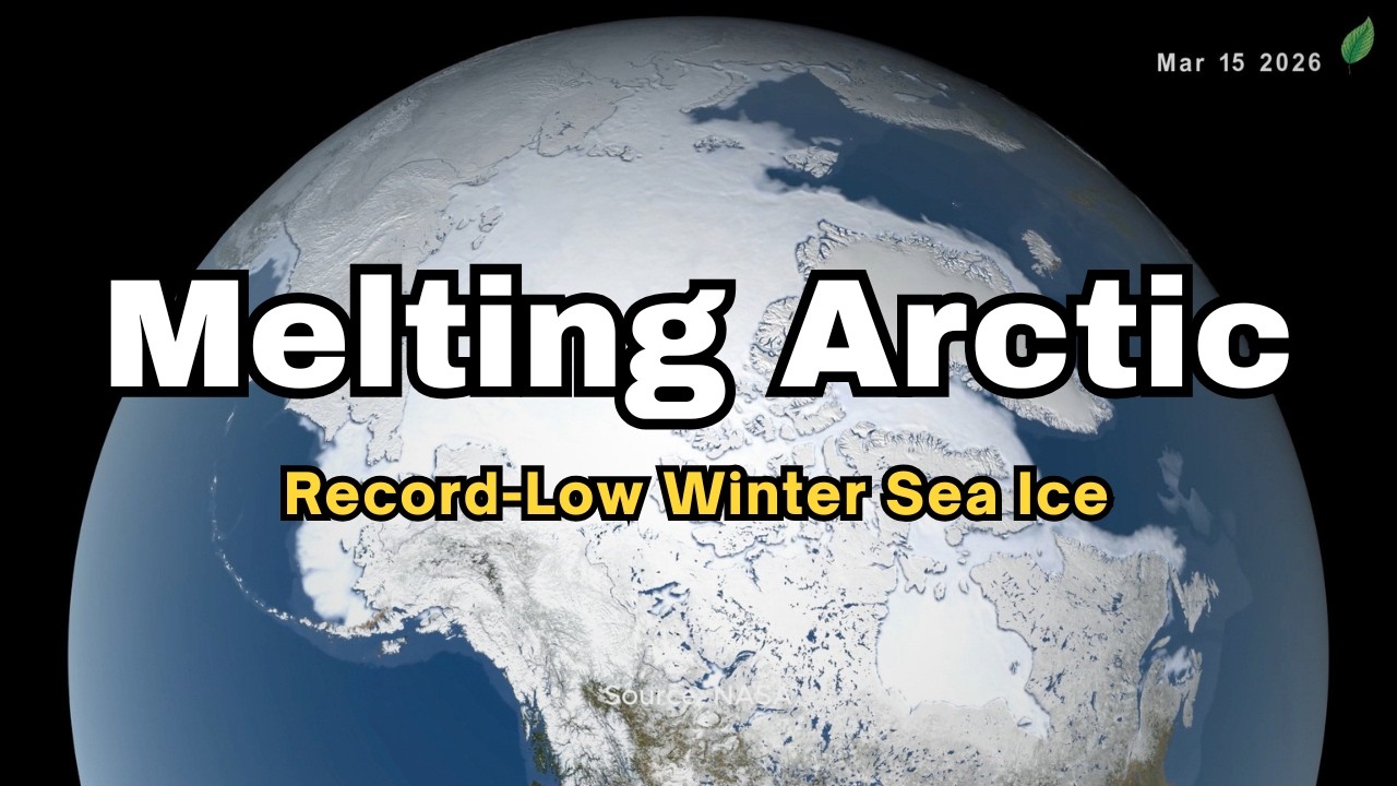 Arctic Sea Ice Hits Record-Low Winter Maximum (2026) | NASA Data Explained