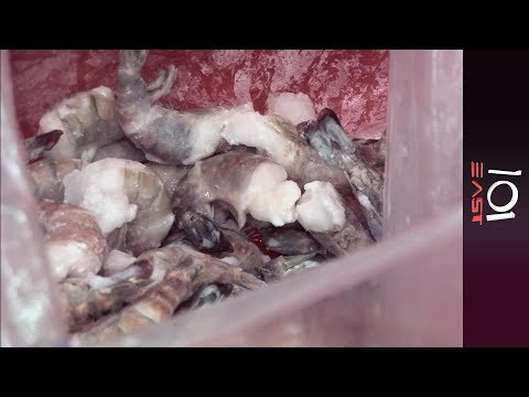 101 East - Small Fry, Big Catch