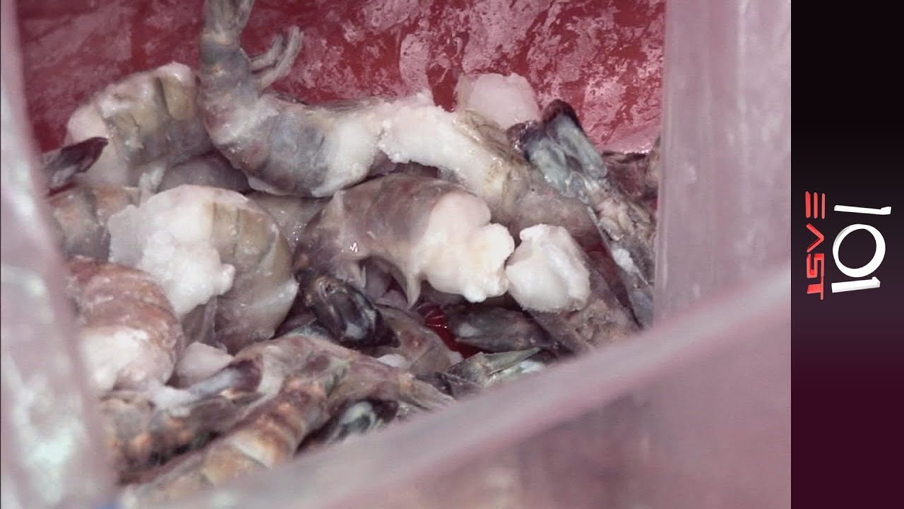 101 East - Small Fry, Big Catch