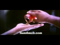Baba Theme 1080p