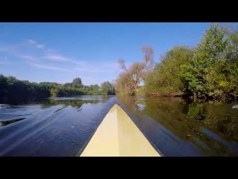 Rudern im SOMMER // Summer Rowing Scenery
