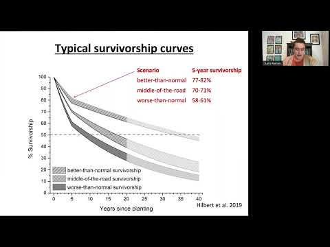 Tree Establishment with Lara Roman and Daisy Brasington