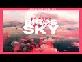 NewEra - Birds In The Sky