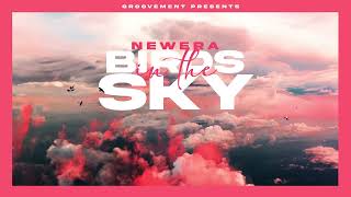 Musik-Video-Miniaturansicht zu Birds In The Sky Songtext von Newera
