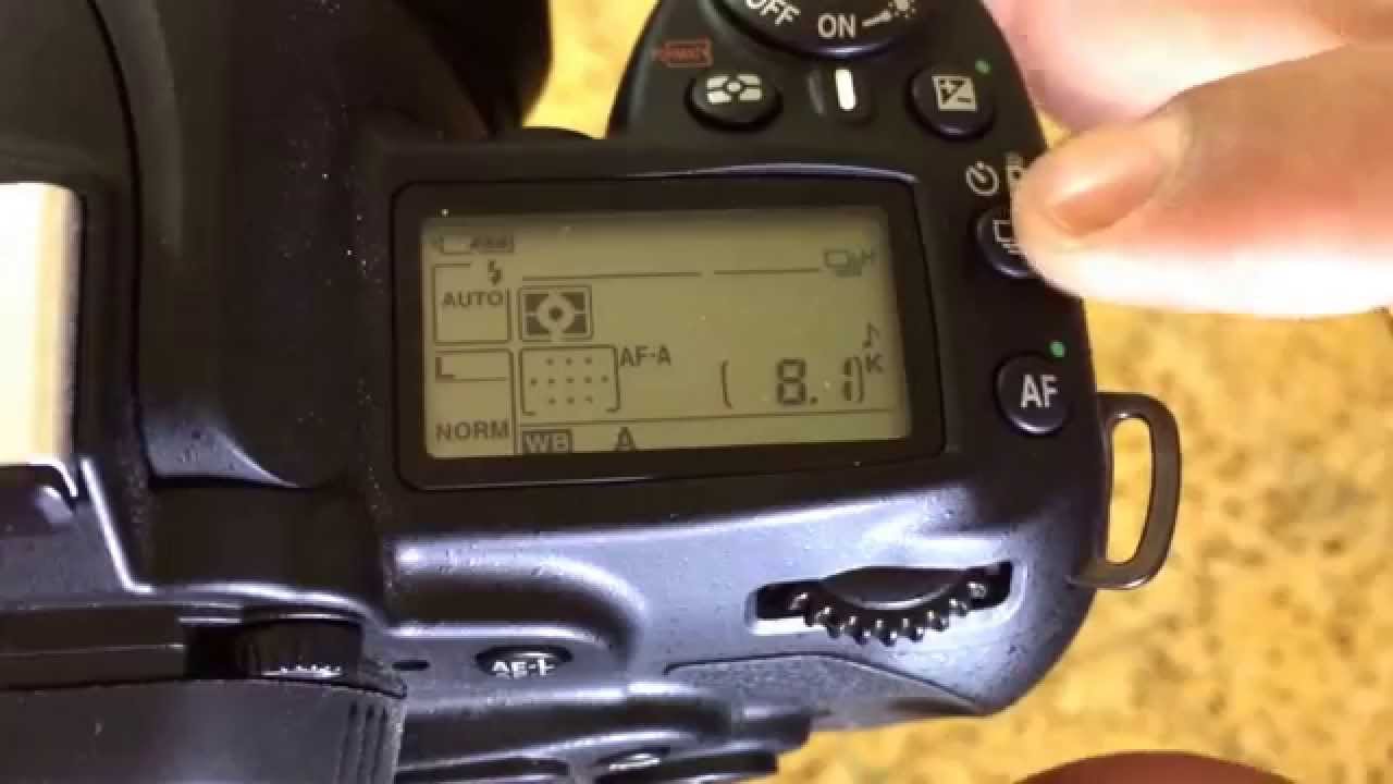Nikon D90 shutter remote control