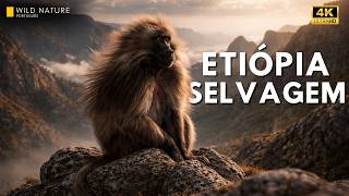 ETIÓPIA SELVAGEM — Um Território Moldado Pelo Conflito Natural | Documentário Completo