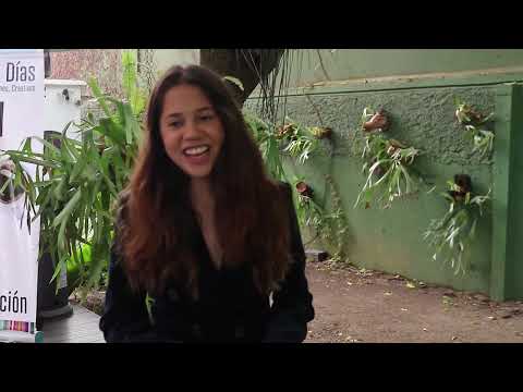 cristina toledo - YouTube