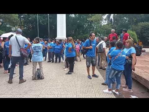 Docentes universitarios se movilizaron a Plaza 9 de Julio | Misiones Cuatro