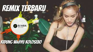 Download lagu Dj slow Kidung Wahyu Kolosebo mp3