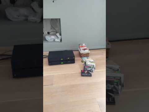 Dali Rubicon 5, Naim Nait XS 2, Naim CD5i - Katie Media(Nine million bicycles)