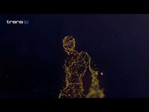 Dalto / Klaverbladverzekeringen 2 - Oost-Arnhem 2