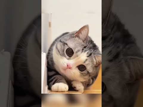 Anh chàng này đã bất ngờ khi nhảy xuống 🤣