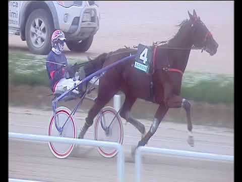 Trotto 29/11/2019 - 4ª corsa