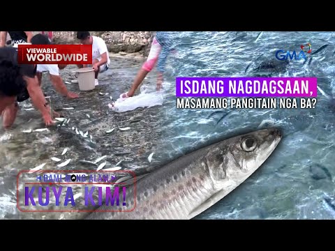 Sandamakmak na isda, dumagsa sa pampang ng Cebu
