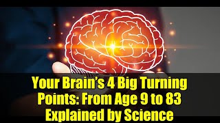 Your Brain’s 4 Big Turning Points: From Age 9 to 83 Explained by Science
