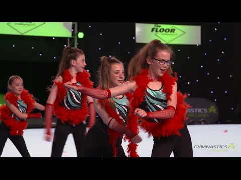 The Floor 2018  Coolmine Ruby Display Team