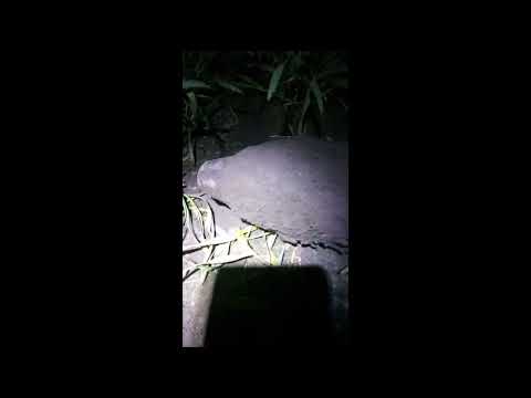 World War 2 - Granatenfund in Deutschland