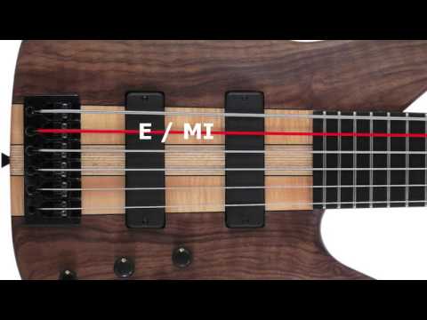 Six Strings Bass Tuner