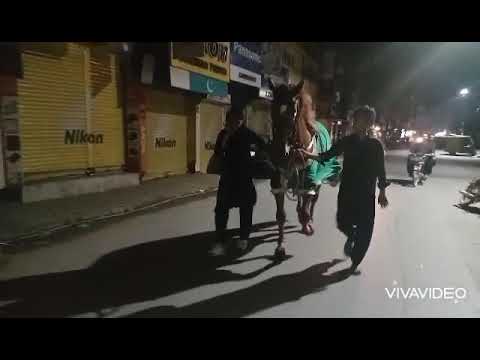 Lali Shehenshah | 9 safar 1443 | wapsi