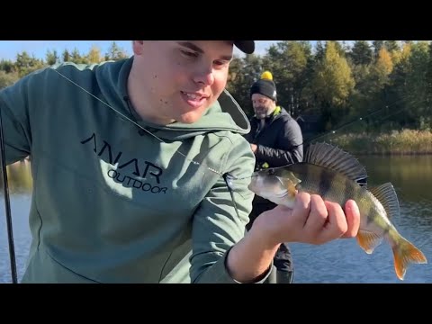 Syysahventa rannalta - Vinkit, vieheet ja tekniikat ahvenen rantakalastukseen - Ahvenen kalastus