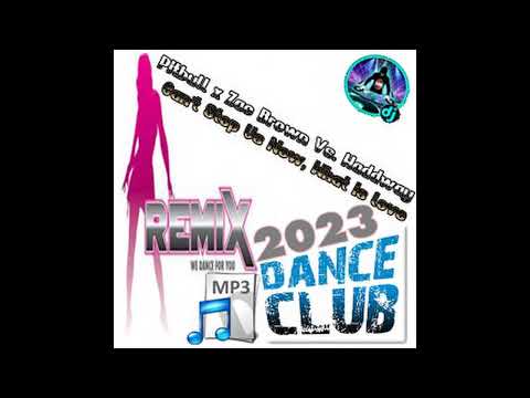 Pitbull x Zac Brown Vs  Haddway  Can't Stop Us Now, What is love Remix 2023 by D.J.Jeep