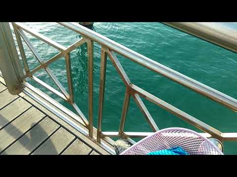 Italian West Coast: Jesus Won't You Come Again - Viareggio, Italia