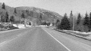 Neil Young &amp; The Chrome Hearts -  I'll Love You Forever (Official Visualizer)