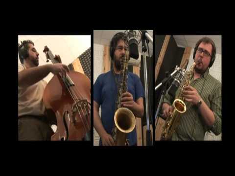 Oltre il ponte - Friser (Il Fiore Meraviglioso vol 3)