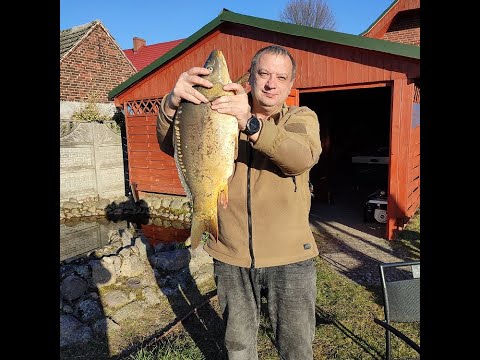 Agroturystyka u Gosi