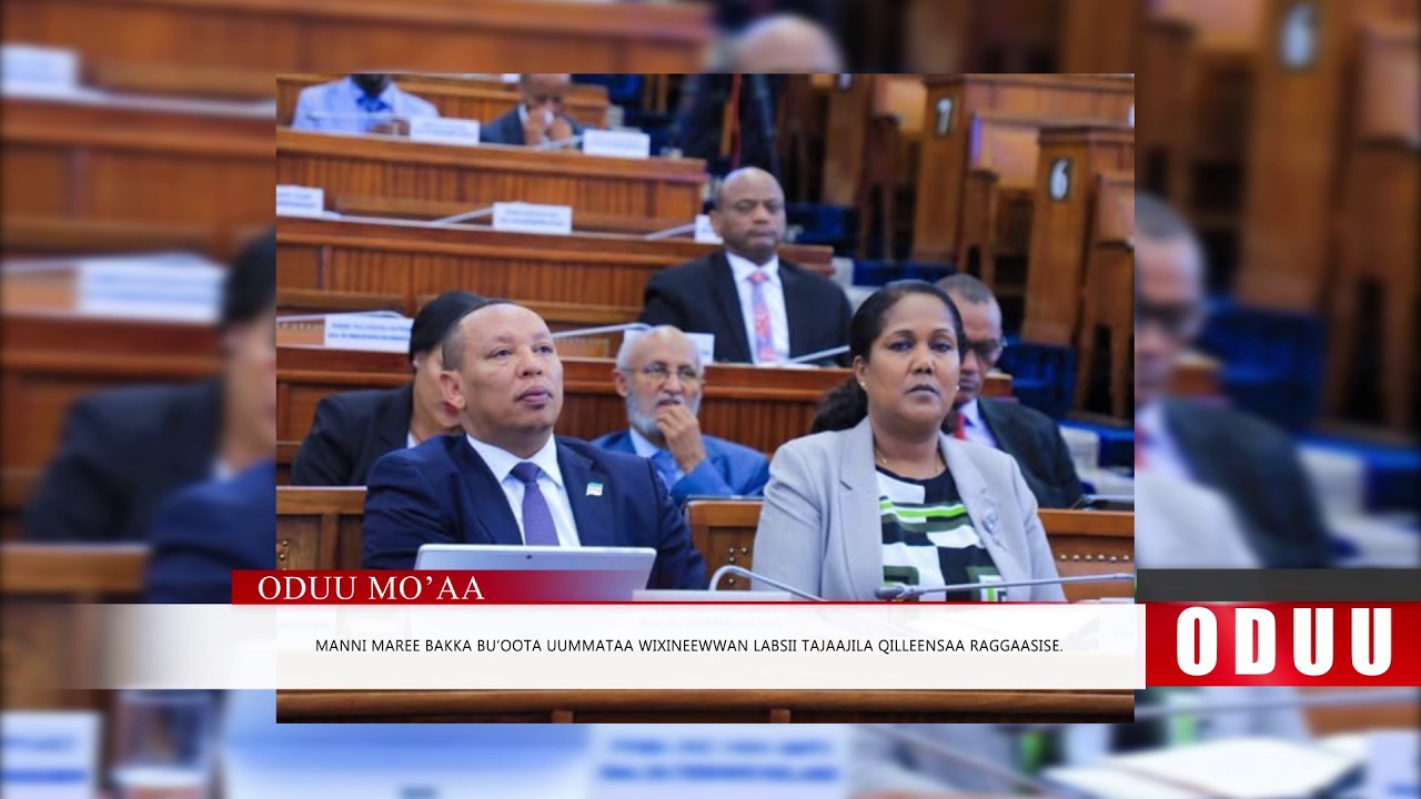 Mo'aa: Oduu Kamisa  Galgalaa (Waxabajjii 4 . 2026) Finfinnee