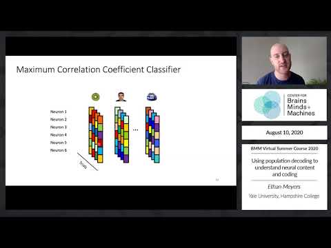 Using population decoding to understand neural content and coding