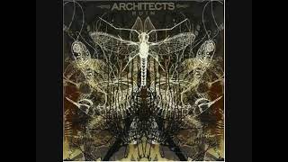 Architects Sail This Ship Along