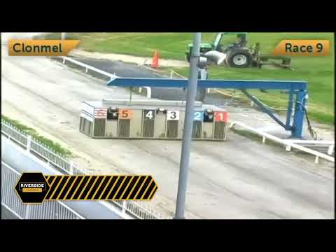 Swords Rex - Larry O'Rourke National Produce Stakes Semi Final