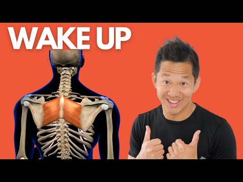 Rhomboids - Are Yours Dead and Damaged?