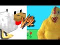 Mucka Blucka Vs Gobble Chicken