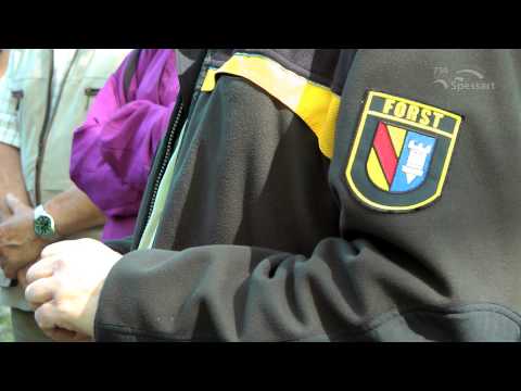 Der Wald im Wandel | 24. April 2015