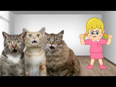 Когда шутки заходят слишком далеко ➤ Кошка Чечня БлоХер