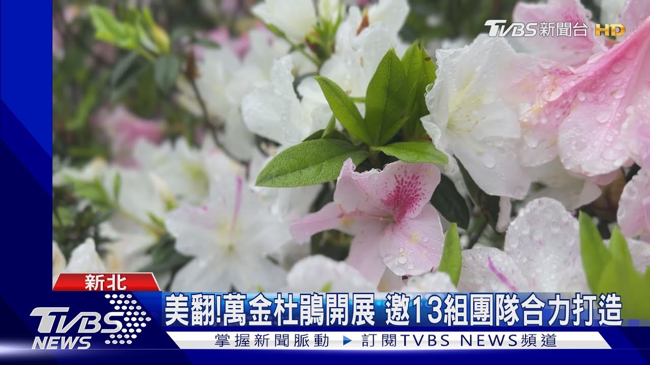 「萬金杜鵑展」美翻!為期逾半個月 邀13組藝術家「碰撞火花」