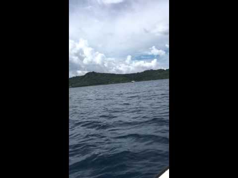 Bora Bora Glass Bottom Boat Sing along