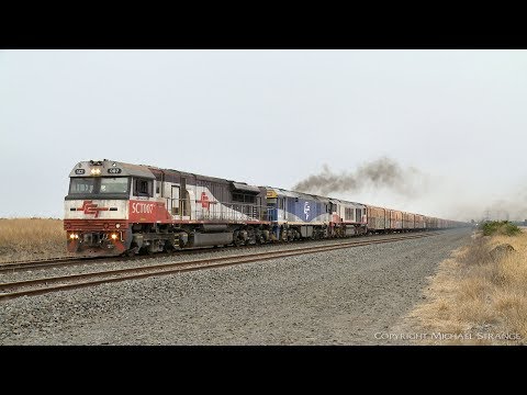 SCT 2PM9 Freight Train & SSR X'trapolis Transfer - PoathTV Australian Railways
