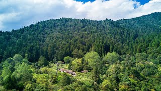 [記錄] 奇萊東稜下嵐山工作站