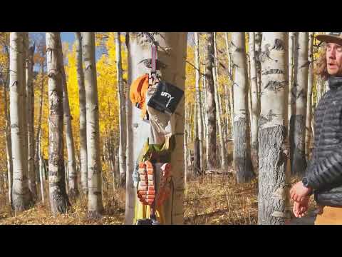 UTTy | Life, Better Managed