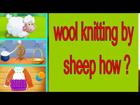 wool knitting by sheep, how ,farm animals ?le tricot de laine par mouton comment ,