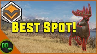 Best Spot for DIAMOND WHITETAIL!! Call of the Wild 2019