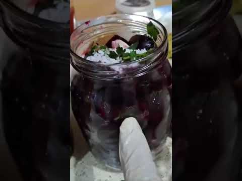 Video thumbnail: Panxhar i Kuq Turshi