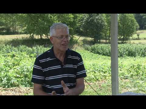 MZ Slapnica - Život na selu 08 old