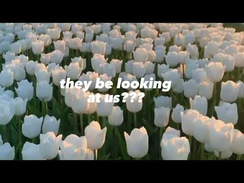 NO DRAMA ALDER,JASLYN EDGAR (LYRICS) | FUNO LYRICS|